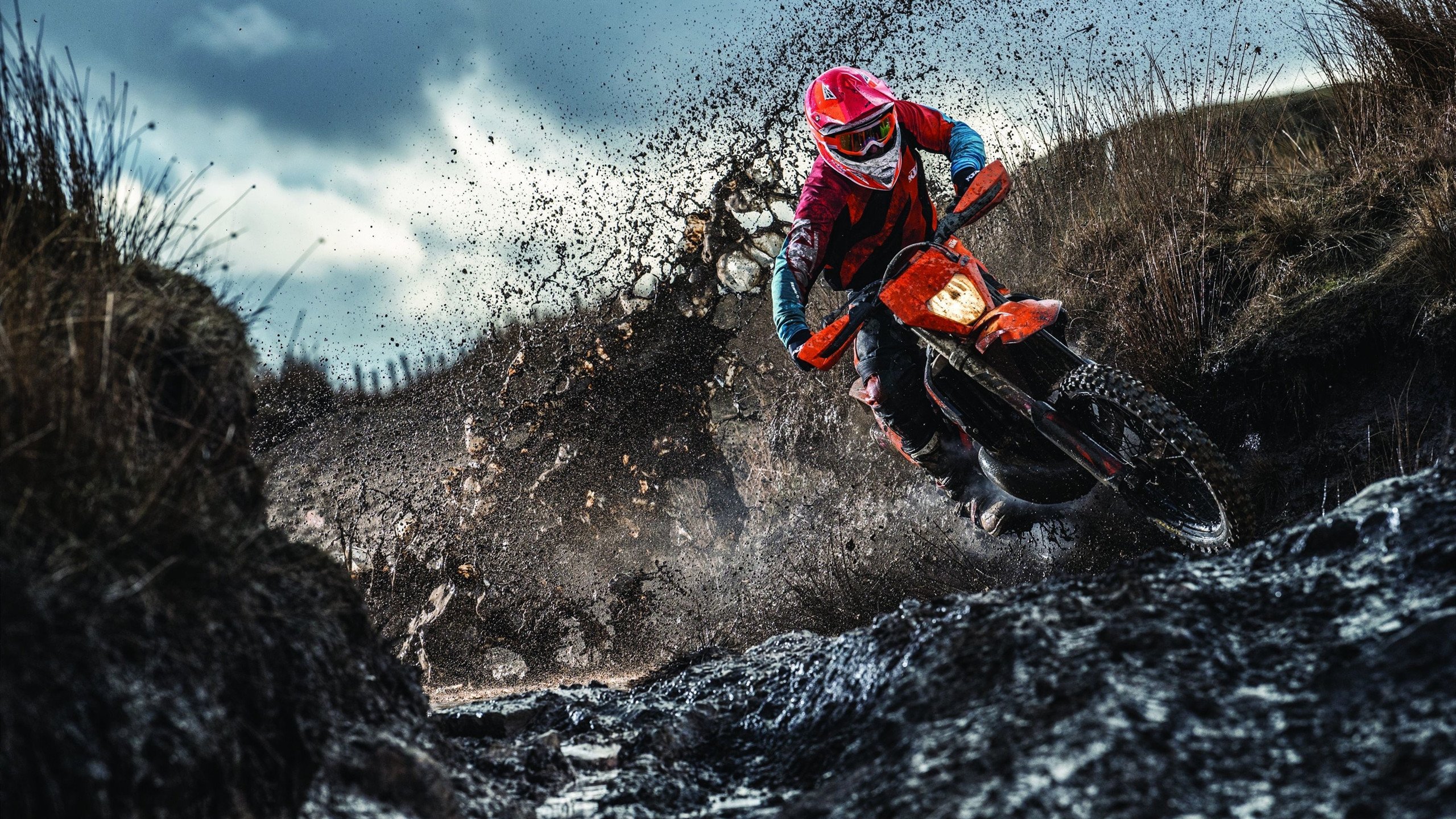 观众现场反应热烈球队每一次进攻都引发全场高分贝欢呼，球赛观众