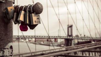 开云真人-意甲科技装备驱动的训练体系